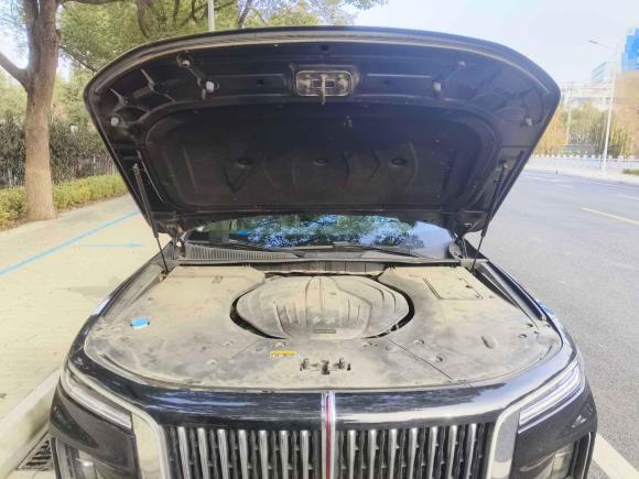 [苏州·苏U] 二手红旗红旗H92020款 2.0T 智联旗享版