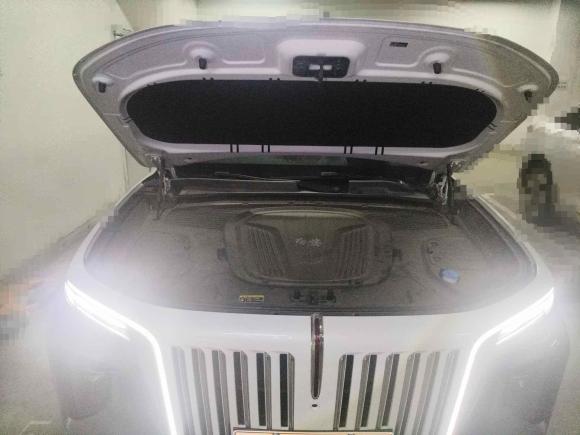 [武汉·鄂A] 二手红旗红旗E-HS92021款 510km 旗领版 四座