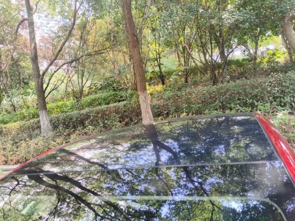 [苏州·苏E] 二手特斯拉Model Y2021款 长续航全轮驱动版