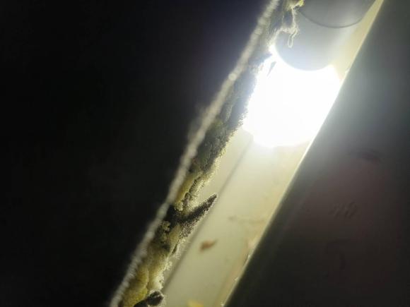 [成都·川A] 二手丰田锐志2007款 2.5S