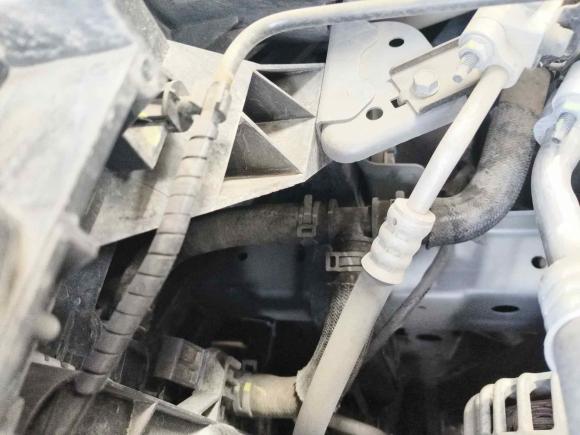 [温州·粤S] 二手哈弗哈弗大狗2021款 2.0T DCT两驱中华猎犬版