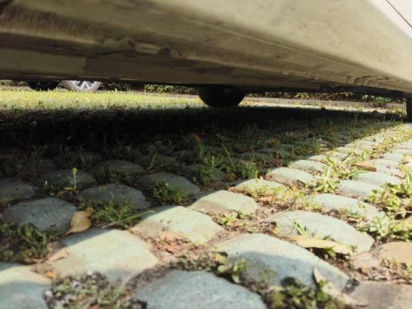 [苏州·苏U] 二手日产天籁2021款 2.0L XL Upper AD1 智行领航版