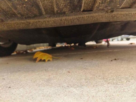 [青岛·鲁U] 二手福特福克斯2018款 三厢经典 EcoBoost 125 自动超能风尚型智行版