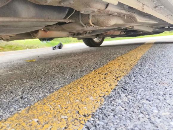 [杭州·浙A] 二手大众朗行2013款 1.6L 自动舒适型