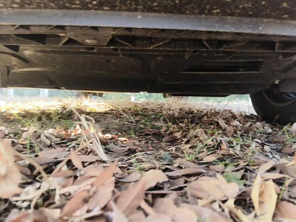 [常州·苏D] 二手大众桑塔纳2016款 1.6L 自动风尚版