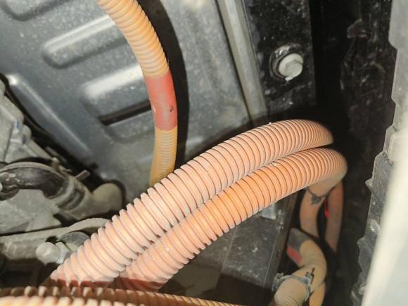 [深圳·粤B] 二手奇瑞新能源小蚂蚁2022款 改款 甜粉款 半糖版 三元锂 30.6kWh 30kW 301km