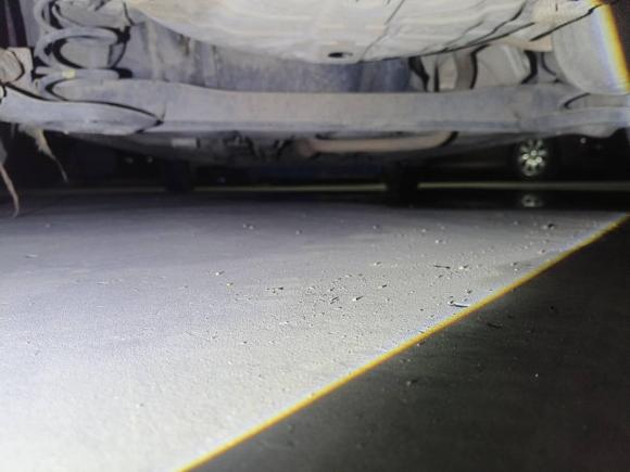 [苏州·鲁D] 二手日产玛驰2010款 1.5L 手动易型版