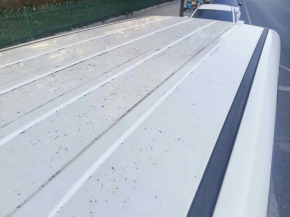 [义乌·浙G] 二手江淮瑞风瑞风M32015款 创客版 1.6L 豪华智能型