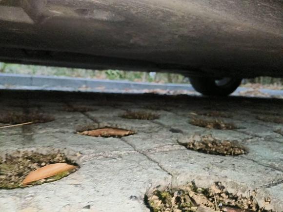 [嘉兴·浙F] 二手丰田凯美瑞2019款 2.0S 锋尚版 国VI