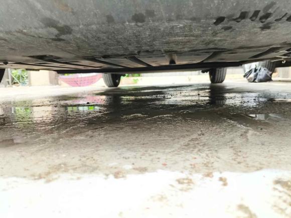 [上海·沪B] 二手比亚迪海鸥2025款 305km 活力版