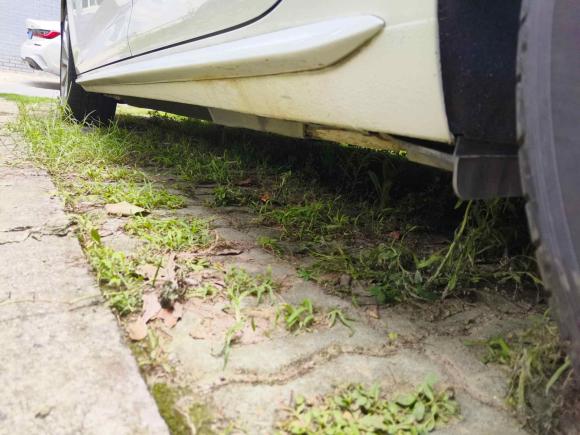 [苏州·苏U] 二手奥迪奥迪A4L2019款 40 TFSI 时尚型 国V