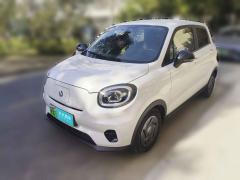 [上海·苏E] 零跑汽车零跑T032023款 200轻享版