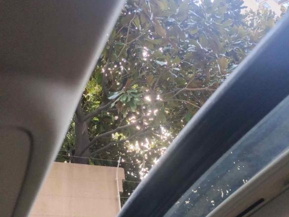 [温州·浙C] 二手别克君威2012款 2.4L SIDI旗舰版