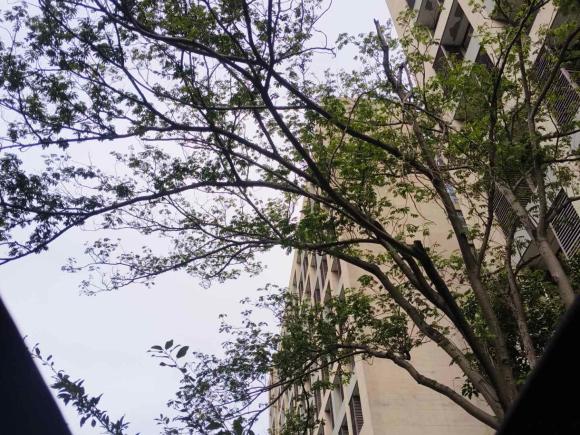 [上海·闽H] 二手大众高尔夫GTI2012款 2.0TSI GTI