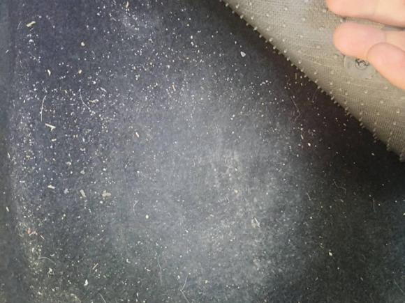 [湖州·浙E] 二手日产骐达TIIDA2020款 1.6L CVT酷动版