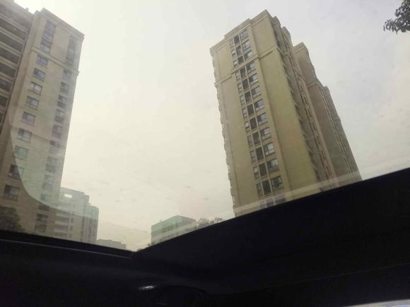 [上海·沪A] 二手比亚迪海豚2023款 420km 时尚版