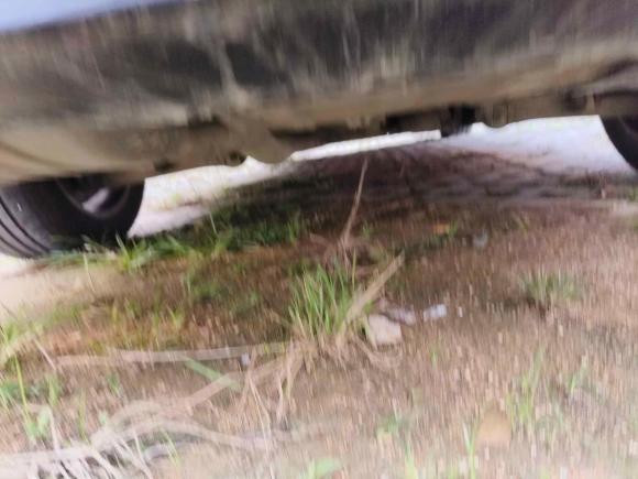 [青岛·鲁Q] 二手宝马宝马5系2011款 528Li 豪华型