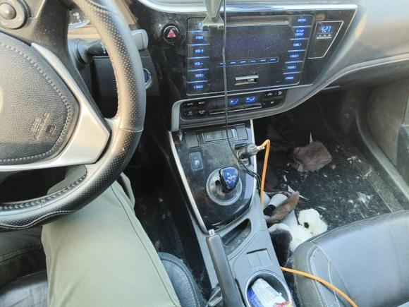 [嘉兴·浙F] 二手丰田卡罗拉2017款 改款双擎 1.8L E-CVT精英版