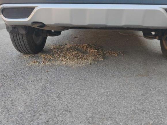 [青岛·黑A] 二手宝骏宝骏5102017款 1.5L 手动时尚型