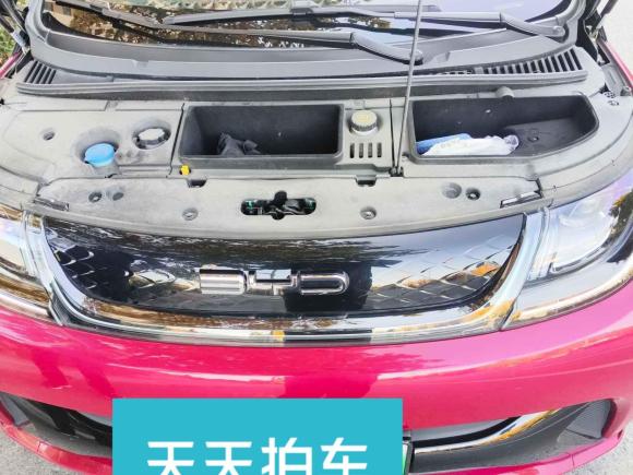 [青岛·鲁B] 二手比亚迪海豚2023款 50万纪念版Plus