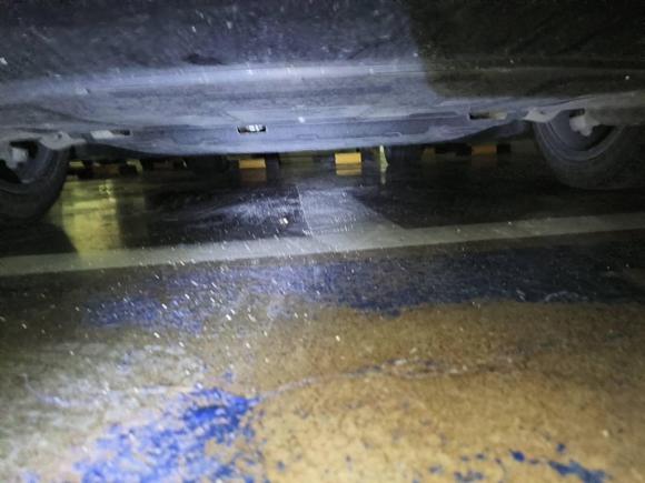 [上海·沪A] 二手零跑汽车零跑C012023款 525舒享版