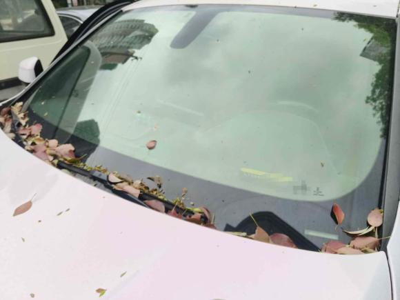 [上海·闽A] 二手宝马宝马X42019款 xDrive25i M运动套装