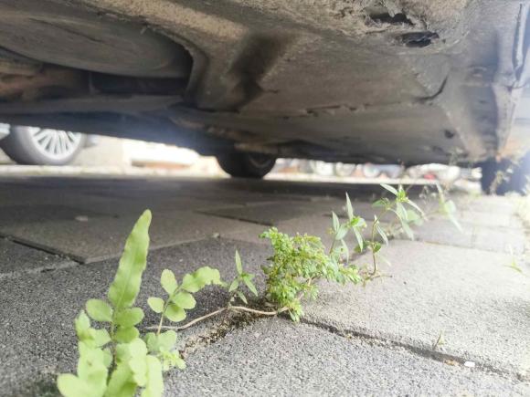 [深圳·粤B] 二手奥迪奥迪A6L2012款 TFSI 标准型