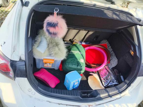 [苏州·苏E] 二手马自达马自达3星骋2012款 两厢 1.6L 自动精英型