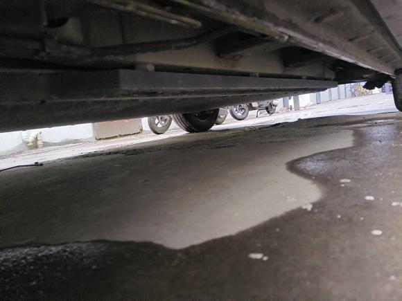 [杭州·浙A] 二手比亚迪海鸥2023款 活力版