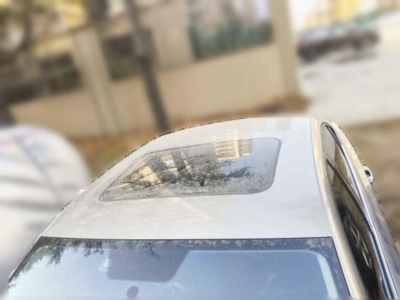 [青岛·鲁B] 二手大众宝来2019款 1.5L 自动舒适型