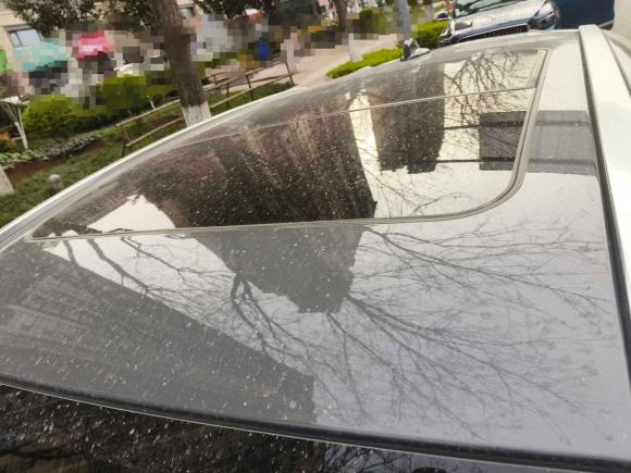 [西安·陕U] 二手领克领克022019款 高能版 2.0T 自动两驱耀版 国VI