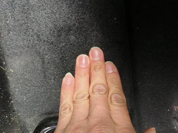 [合肥·皖A] 二手福特福睿斯2017款 1.5L 自动舒适型