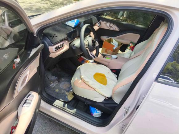 [上海·苏F] 二手比亚迪海鸥2024款 荣耀版 305km 自由版