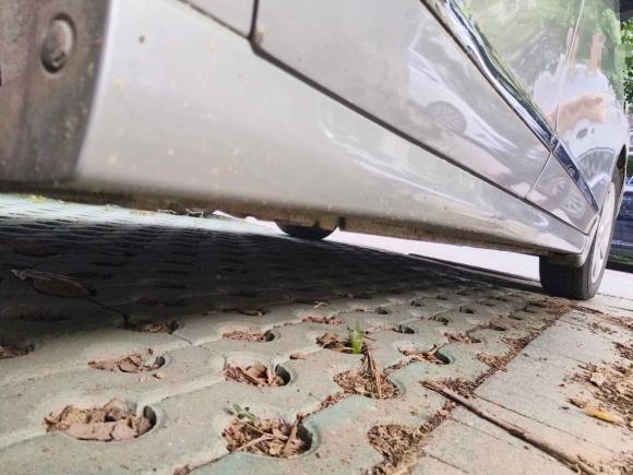 [武汉·鄂A] 二手日产轩逸2009款 1.6XE 自动舒适版