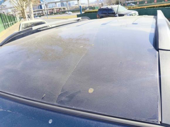 [济南·鲁A] 二手起亚狮跑2013款 2.0L 手动两驱版GL