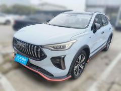 [武汉·鄂A] 哈弗哈弗赤兔2022款 1.5L DHT王者兔