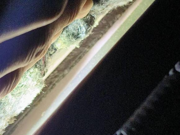 [深圳·粤B] 二手本田歌诗图2012款 2.4L 豪华版