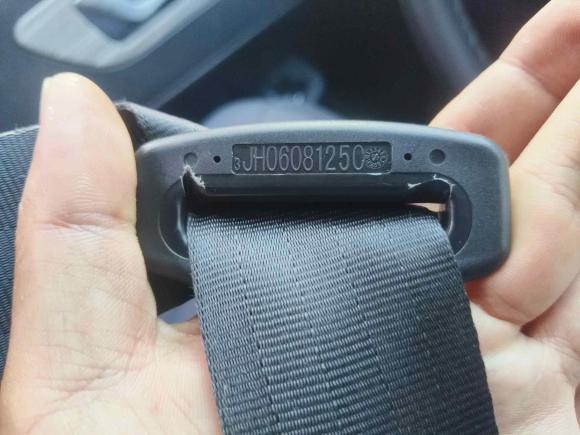 [合肥·吉A] 二手红旗红旗E-QM52023款 620km PLUS