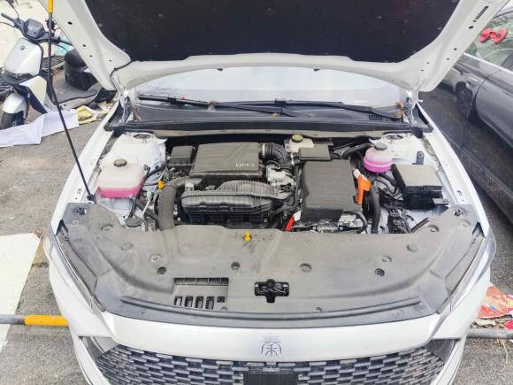 [上海·浙F] 二手比亚迪秦PLUS2024款 荣耀版 DM-i 120KM卓越型