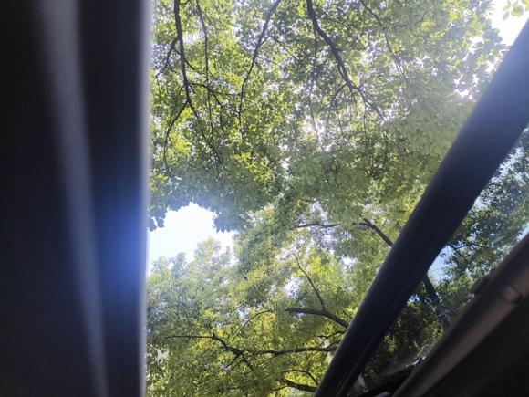 [上海·沪A] 二手别克别克GL82021款 陆上公务舱 652T 豪华型