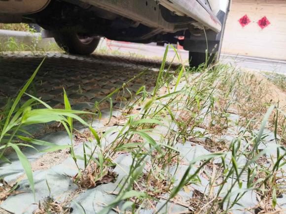 [青岛·鲁B] 二手丰田普拉多2004款 GX 2.7自动车型