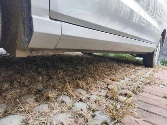 [青岛·鲁B] 二手五菱汽车五菱宏光2019款 1.5L S标准型国VI LAR