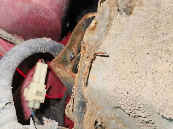 [深圳·黑A] 二手五菱汽车五菱凯捷2020款 1.5T CVT旗舰型