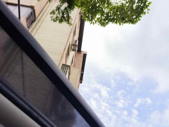 [上海·皖A] 二手大众迈腾2019款 330TSI DSG 豪华型 国V