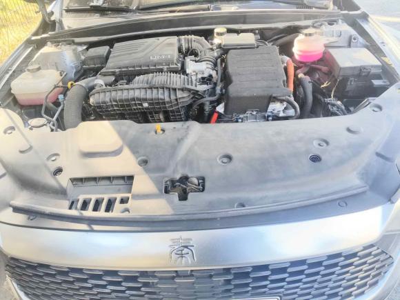 [青岛·鲁B] 二手比亚迪秦PLUS2024款 荣耀版 DM-i 55KM领先型