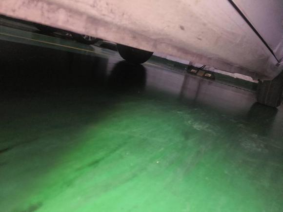 [杭州·浙A] 二手欧拉欧拉黑猫2019款 351km 灵趣版