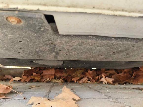 [武汉·鄂A] 二手马自达马自达3 昂克赛拉2021款 2.0L 自动质耀版