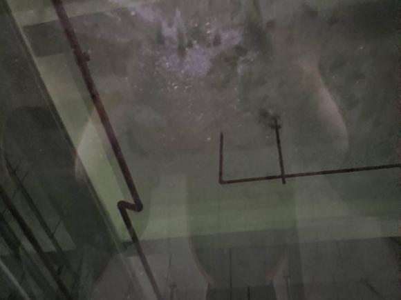 [深圳·粤B] 二手比亚迪海豚2021款 405km 时尚版