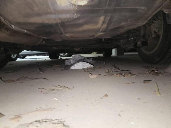 [宁波·湘E] 二手大众朗逸2017款 1.6L 自动风尚版