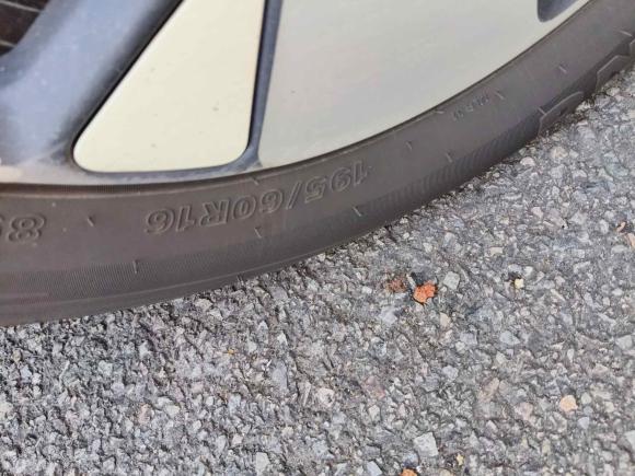 [宁波·浙B] 二手比亚迪海豚2023款 420km 时尚版